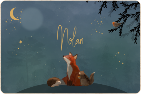 Memorybox winterliefde voor een jongetje met vos maan en sterren