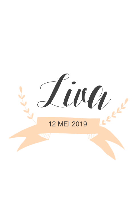 Geboortekaartje Liva