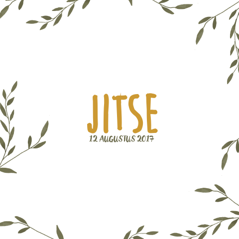Geboortekaartje Jitze