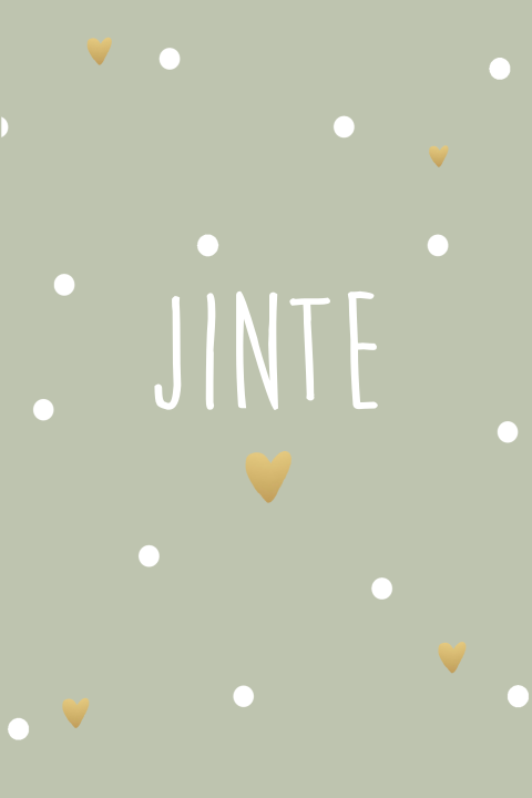 Geboortekaartje Jinte