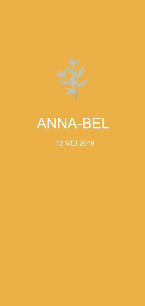 Geboortekaartje Anne-Bel