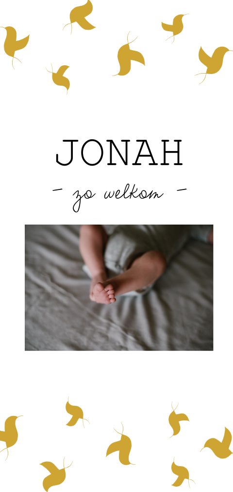 Geboortekaartje Jonah