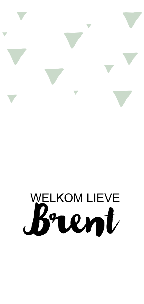 Geboortekaartje Brent
