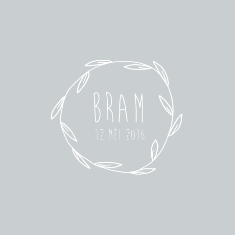 Geboortekaartje Bram
