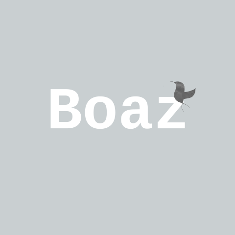Geboortekaartje Boaz