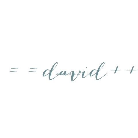 Geboortekaartje David