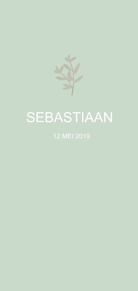 Geboortekaartje Sebastiaan