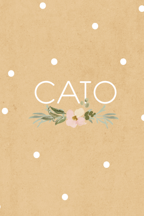 Geboortekaartje Cato
