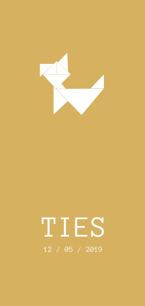 Geboortekaartje Ties
