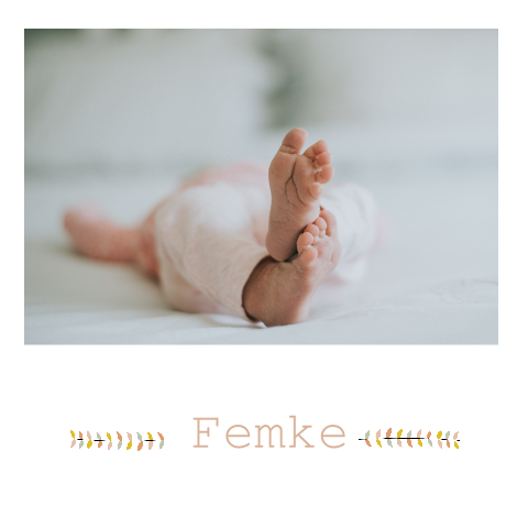 Geboortekaartje Femke