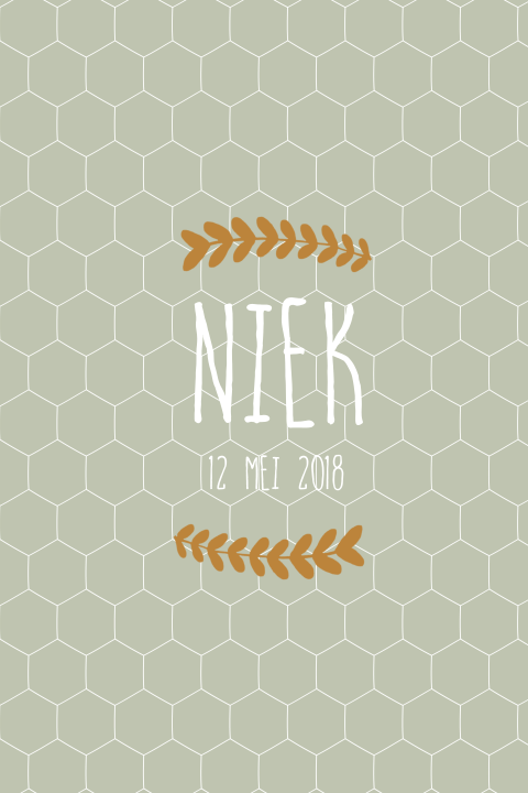 Geboortekaartje Niek