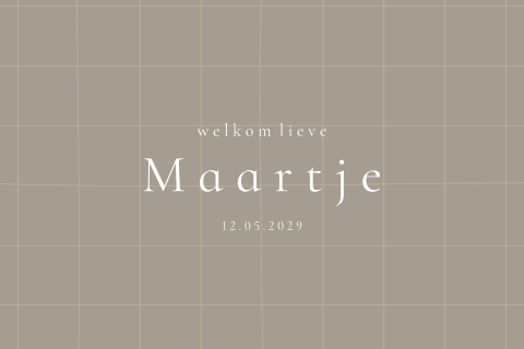 Geboortekaartje ruitje