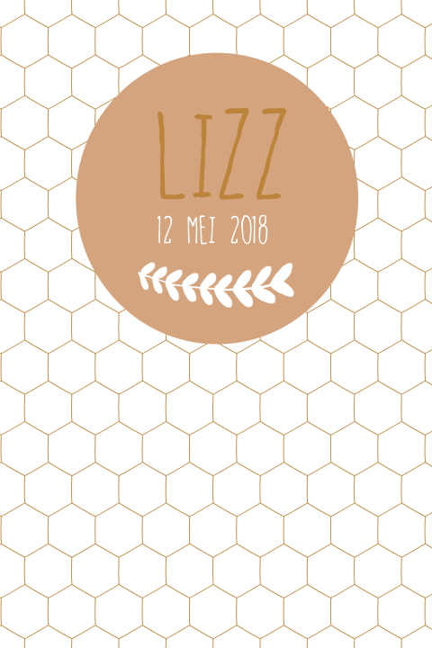 Geboortekaartje Lizz