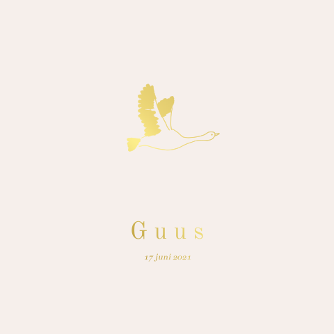 Geboortekaartje dubbel vogel goudfolie Huis van Mijn