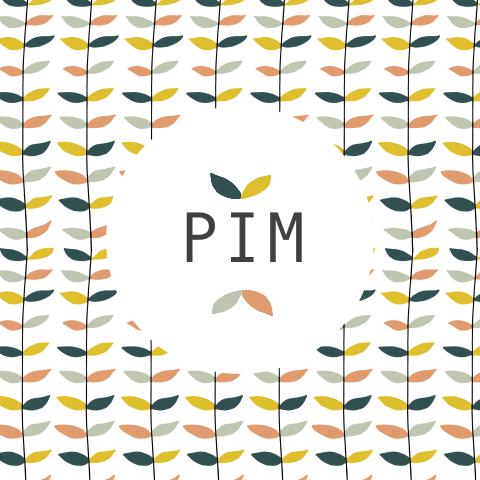 Geboortekaartje Pim