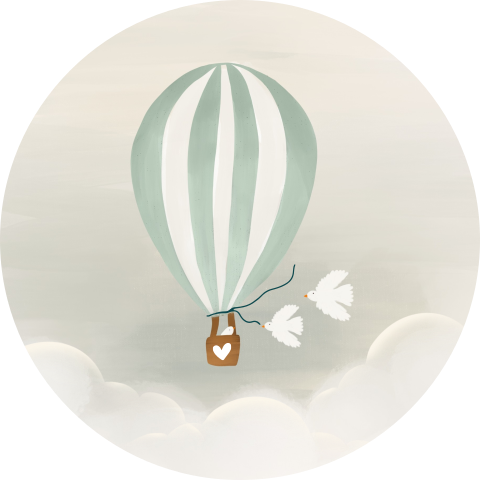 Sluitzegel Luchtballon groen