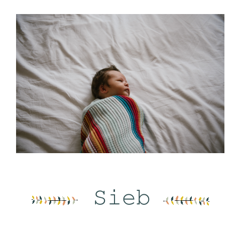 Geboortekaartje Sieb