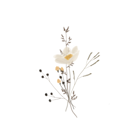 Sluitzegel veldbloemen