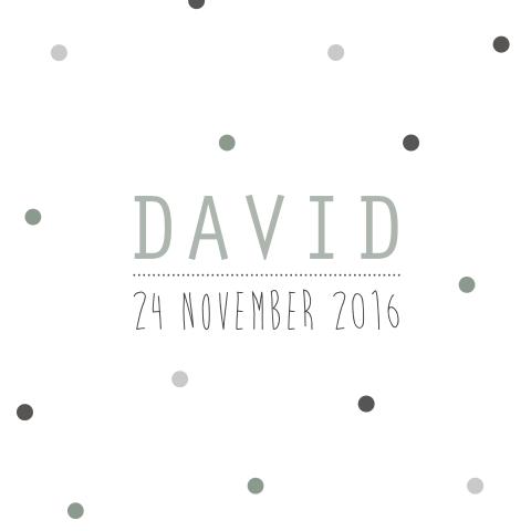 Geboortekaartje David