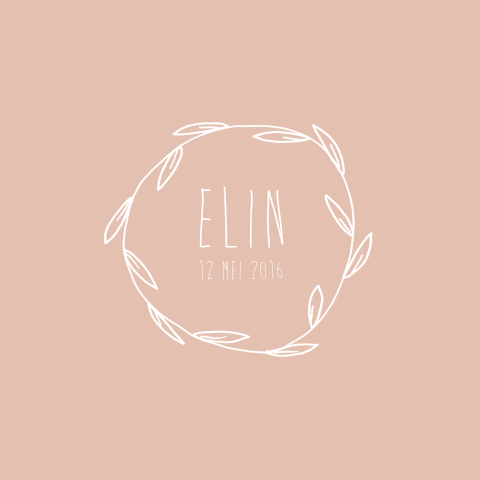 Geboortekaartje Elin