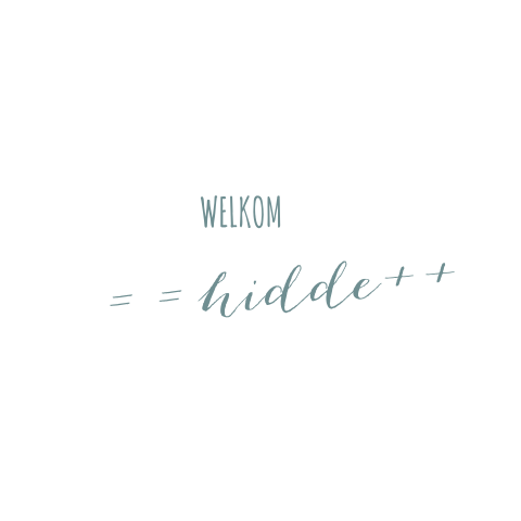Geboortekaartje Hidde