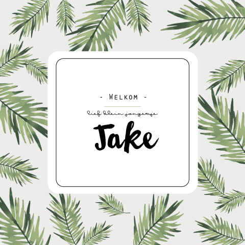 Geboortekaartje Jake