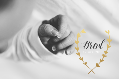 Geboortekaartje Brad