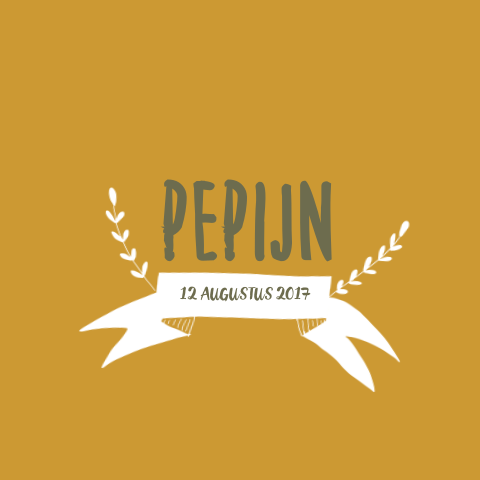 Geboortekaartje Pepijn
