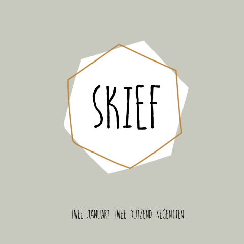 Geboortekaartje Skief