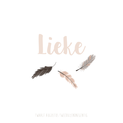 Bohemian geboortekaartje met veertjes