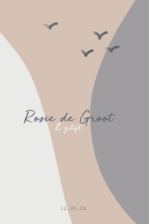 Geboortekaartje meisje met vogels en kleurvlakken roze blauw