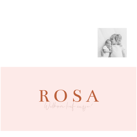 geboortekaartje meisje met foto zusje roze panorama