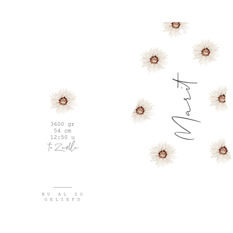 Geboortekaartje meisje golfjes label witte bloemen madeliefjes