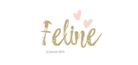 Lief geboortekaartje voor een meisje met goudkleurige letters