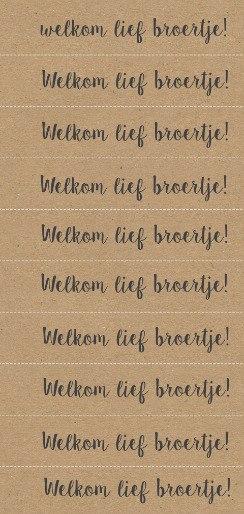 DIY labelkaartje 2,1x10cm Welkom lief broertje!