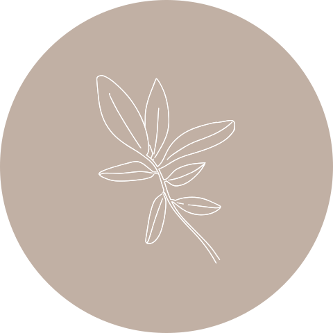 Sluitstickers geboortekaartje trouwkaart met lijntekening takje beige