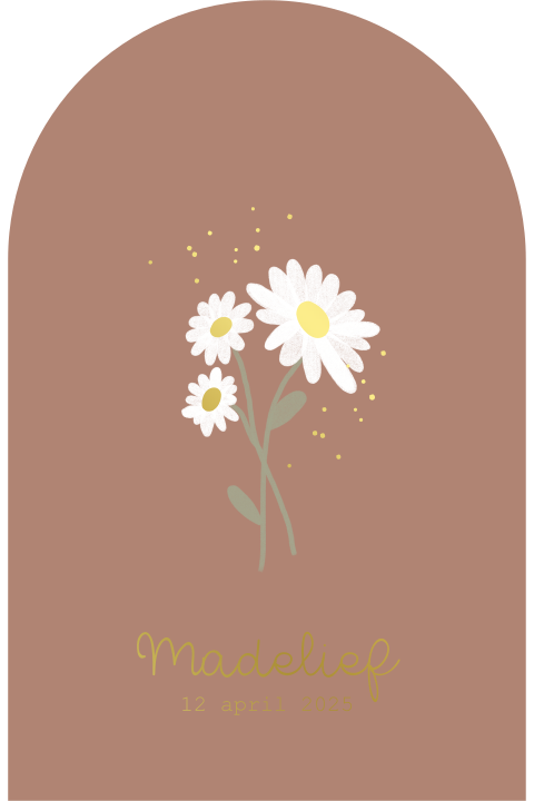 Geboortekaartje meisje kerkraam geboortebloem april madeliefje