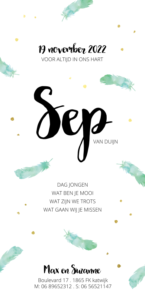 Handletter geboorte-rouwkaartje voor jongen met watercolor veertjes