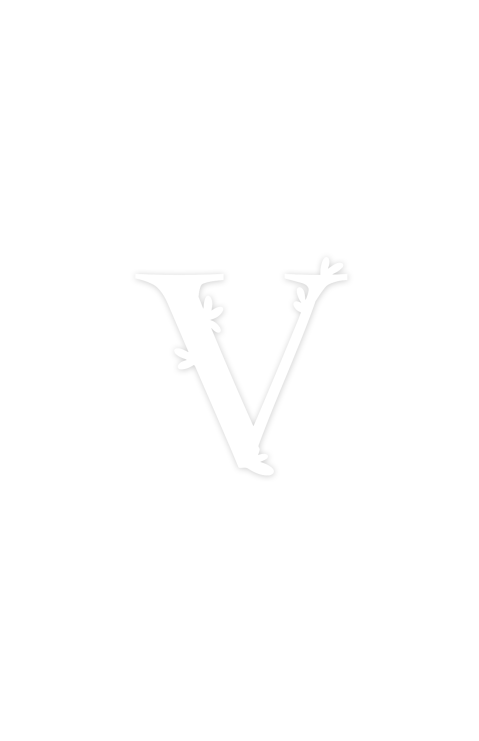 Geboortekaartje met letter V