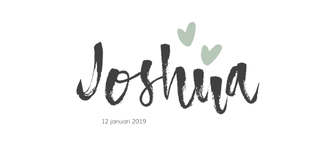 Rustig geboortekaartje met brushletters voor een jongen