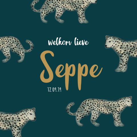 Stoer jongens geboortekaartje met luipaarden