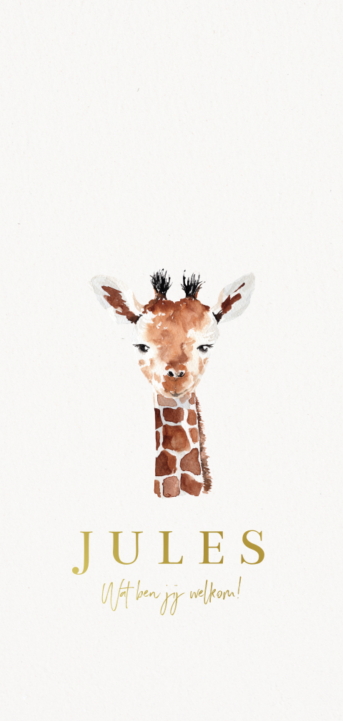 geboortekaartje geschilderde watercolor giraffe jongen meisje folie