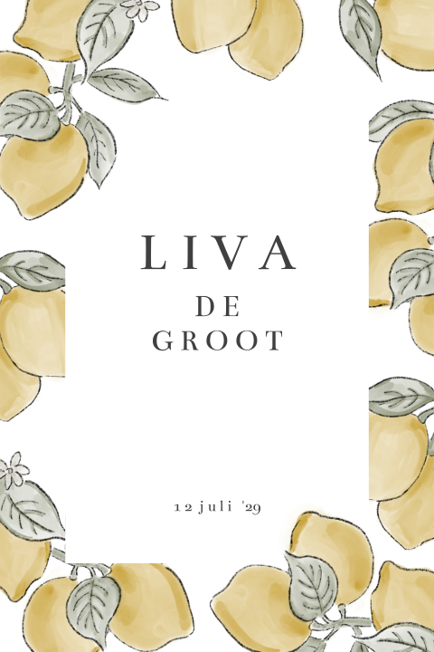Geboortekaartjes meisje zomerse stijl met citroenen