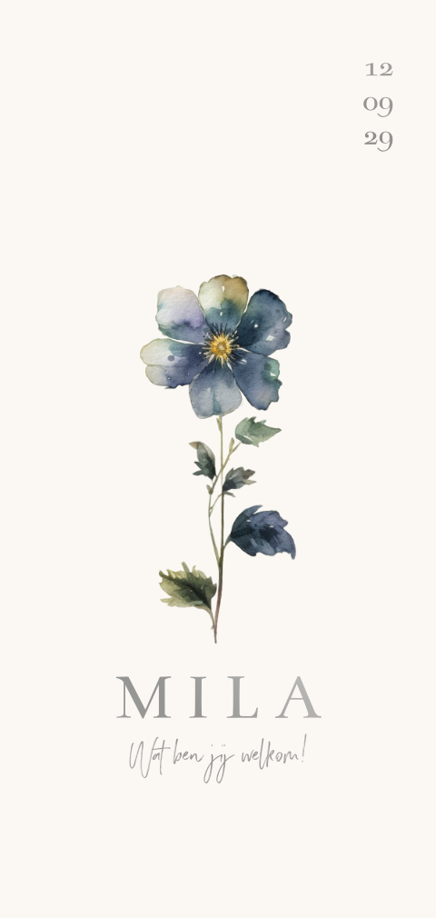Geboortekaartje meisje met blauw viooltje watercolour zilver