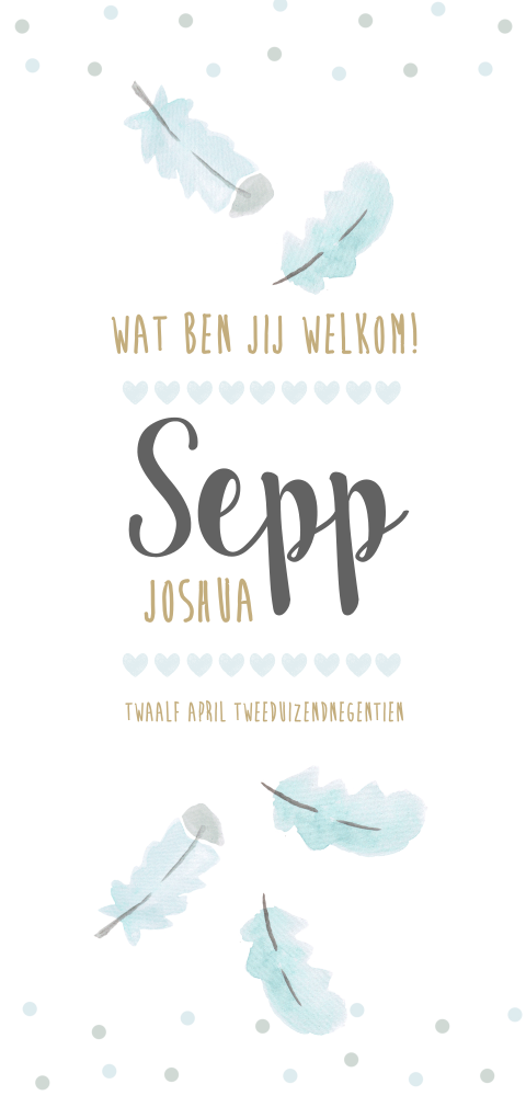 Stoer maar ook lief geboortekaartje met veertjes