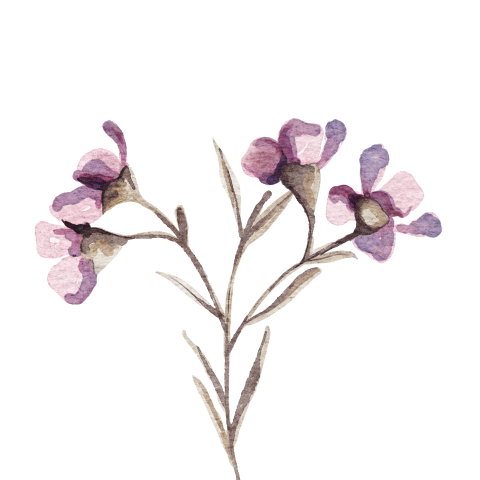 Sluitstickers geboortekaartje of trouwkaart paarse geschilderde bloem