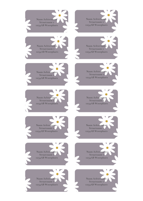 Adresstickers met schattige madeliefjes bloemen wit oker geel en paars