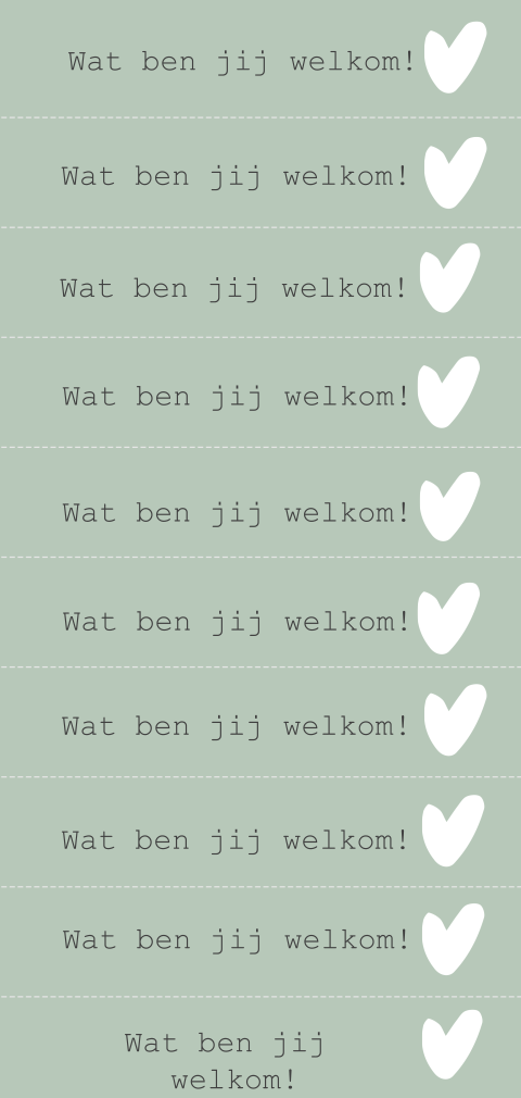 DIY labelkaartje 2,1x10cm, 10stuks Wat ben jij welkom!