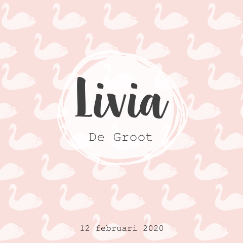 Lief vierkant geboortekaartje met zwanen print