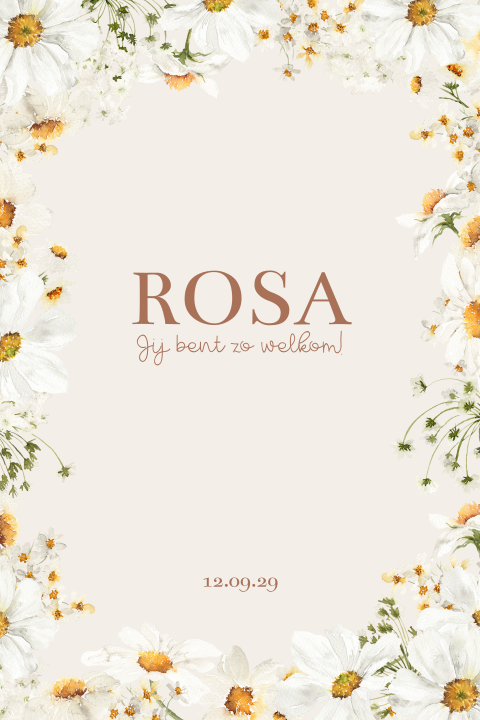 Geboortekaartjes meisje madeliefjes rand bloemen wit oranje